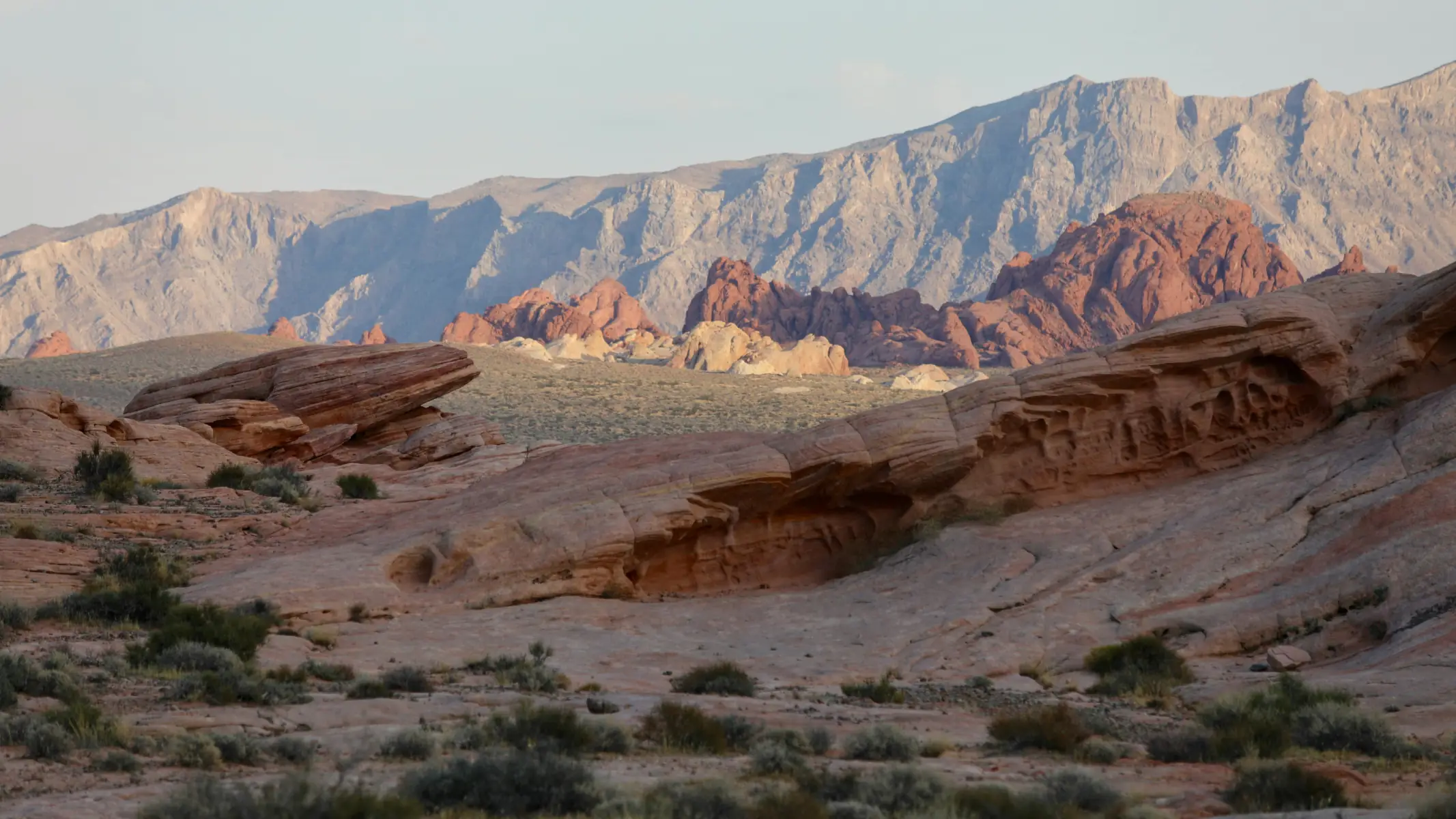 Ecosystems are vast and robots must plan for energy limitations in missions