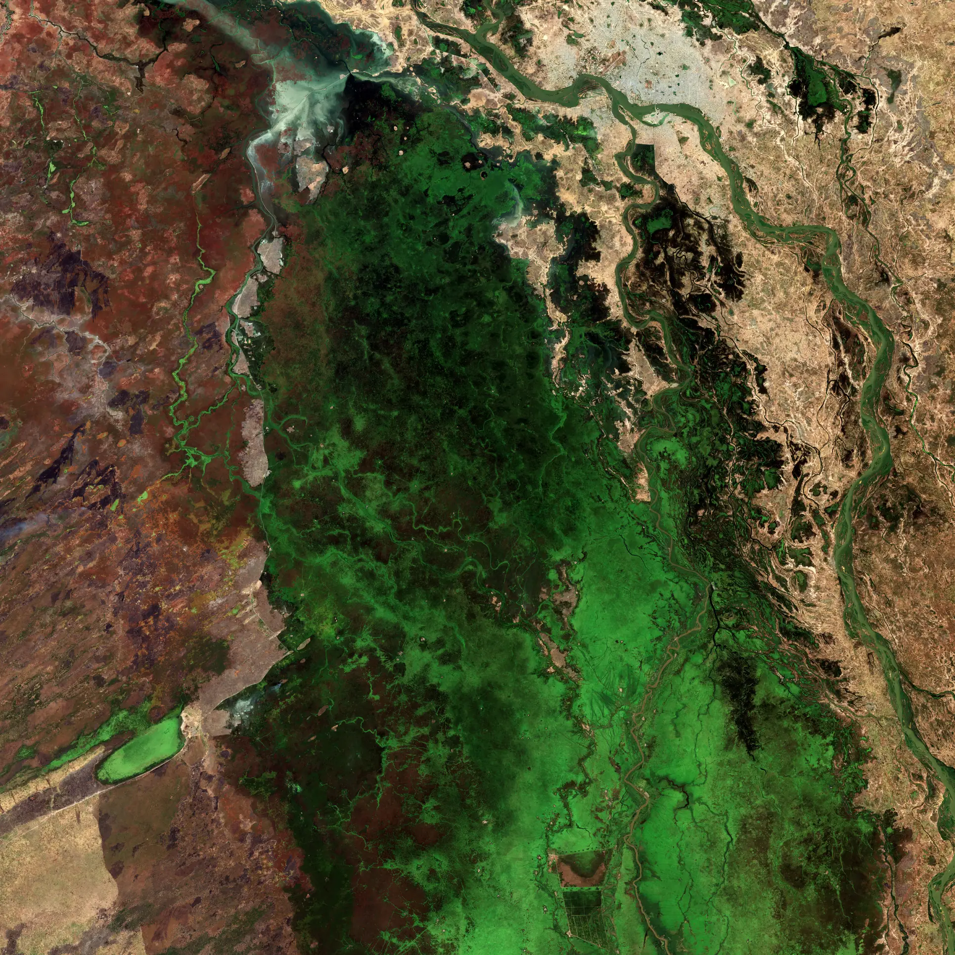 The photo shows the Waza National Park in Cameroon, captured from space by the Copernicus Sentinel-2 mission.